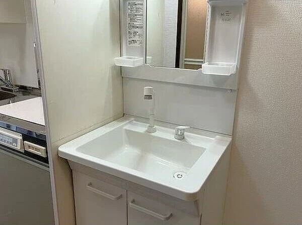 シャンプードレッサー